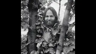 The Beach Boys (Carl Wilson) - It Could Be Anything (Stereo Mix)
