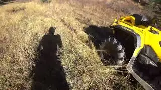 Burnt Timber