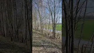 Деревня. Песня,,Скажи председатель,, по просьбам