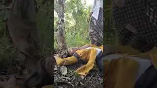kkn  desa hutang