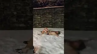 SHORTS, закалка после парной!!!