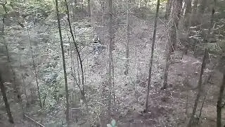 Выкинул мотик, всё зае*ало
