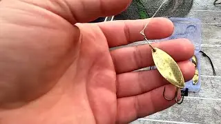 Маленькая блесна и отличная щука