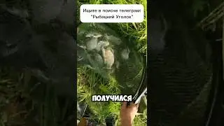 На эту насадку клюёт даже сытая рыба! #рыбалка