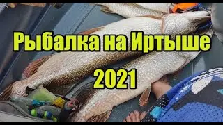 Рыбалка на Иртыше 2021 (воспоминания о лете)