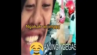 Asupan gizi seimbang bikin NGAKAK BEUNGEUK PARAHHH