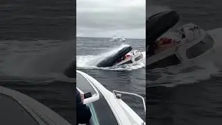 Big fish 🐟trying to eat boat 🛥️with peoples 