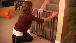 Evenflo Embrace Series Easy Walk