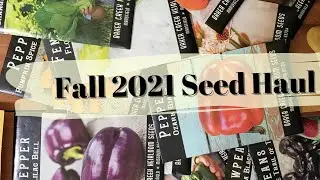 Getting ahead of the Game | Seed Haul November 2021