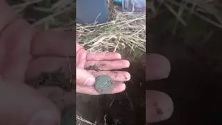 Царская монета в земле ! 