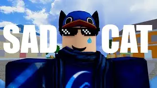 Sad Cat | 13