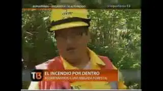 asi trabajan los brigadistas de conaf 2012 2013
