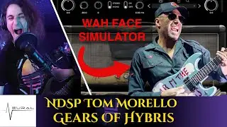 Archetype: Tom Morello - Neural DSP || First Look || Gears Of Hybris