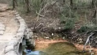 Cleburne State Park