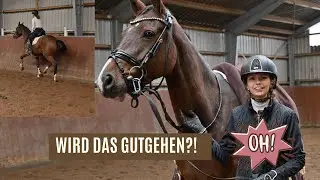 Erster Ritt auf Krusi nach 1,5 Jahren!