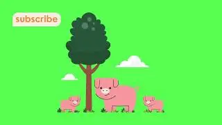 Green screen background|| pig and family || zoo animals|| copyright free