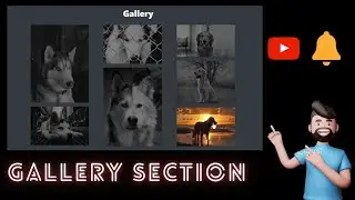 How to Create Image Gallery hover effects in HTML, CSS & Bootstrap | Gallery with hover
