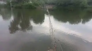 ИКРОМЕТ НАЧАЛСЯ И ПТИЧКИ ПОЮТ НА ОЗЕРЕ