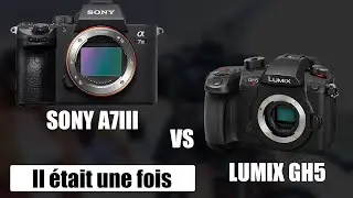 LUMIX GH5 vs SONY A7III  [ Retour sur la guerre Légendaire qui a marqué une génération ] (2013-2017)