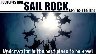 Underwater is the best place to be in 2020 - Roctopus Divemaster Trainees at Sail Rock, Thailand