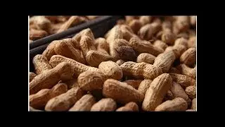 Cómo tostar maní/cacahuate en casa