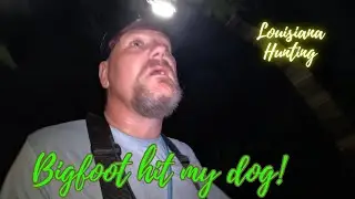 Bigfoot hit my dog! #louisianahunting #hunting #dog
