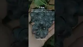🔴WOWW 😍 🤩 AMAZING, ANGGUR HITAM🍇🍇 #fruits  #satisfiying #short #shorts