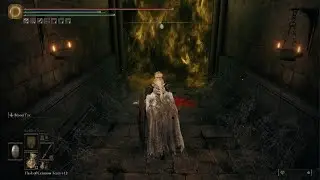 Midra Solo Run (Elden Ring DLC)