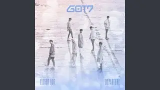 Fly
