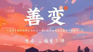 王靖雯不胖-善变『从前你穿越风雨都会仓促见一面，后来连伞的边缘你都懒得分一点。』🎵【动态歌词Lyrics video】#超好听 #music #lyrics #pinyin