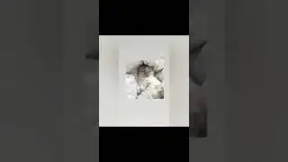 #s_h_o_r_t