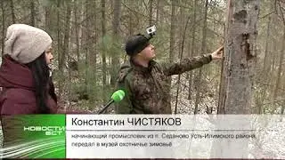 Сюжет БСТ о том как мы вывозили зимовьё в Ангарскую деревню