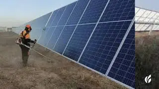 Desbroce y limpieza de material vegetal en parques fotovoltaicos y otros proyectos