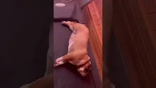 На спорте💪