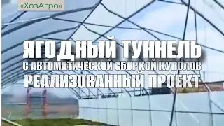 Реализованный проект ягодного туннеля с автоматической сборкой куполов