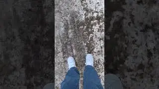 они выжили