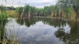 Разведка боем. 13.07.2024 г. Река Или, река Малая Алматинка, пруд. #рыбалка​ #fishing​ #отдых​