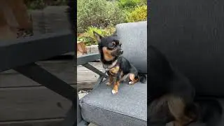 Playing outside!! 