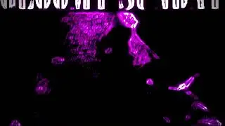Gloomy Sunday//////Hungarian Suicide Song///Venus edit