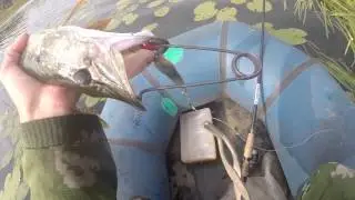 Как снять щуку с тройника блесны, видео rybachil.ru