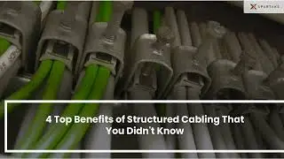 4 Top Benefits of Structured Cabling That You Didn't Know