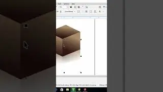 Mirror Reflection with CorelDraw