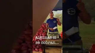 Que se vea el tata 