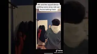 me and the squad dance battling cats TikTok @quah_mehameha  [Tik Tok Archives]