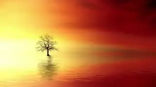 Relax in Crisis - a Soothing Melody and the Calm Sound of the Water - Relaxing Music for Hard Times