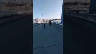 walking with my tow dogs