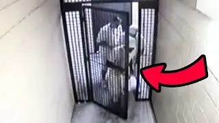 10 Prison Escapes Caught on Camera