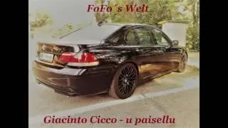 Giacinto Cicco - u paisellu