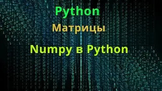 Матрицы в Python