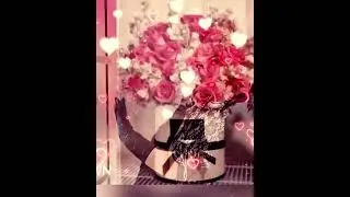 🩷🩷Иринка🩷🩷- Максим Куст